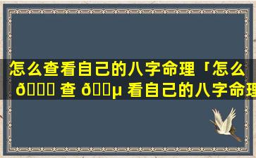 怎么查看自己的八字命理「怎么 🐅 查 🌵 看自己的八字命理好不好」